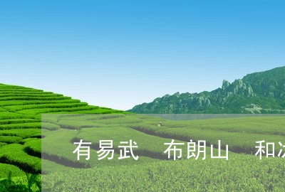 有易武 布朗山 和冰岛茶/2023051248584